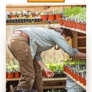 Red Ants Cotton Pants Womens (12/14) 33 X 33 Double Knee Workwear USA Brown NWT